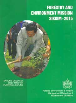 Vision 2015 Report