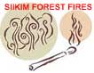 Sikkim Forest Fire Cases